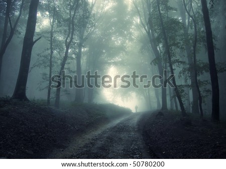 man walking in a green forest with fog