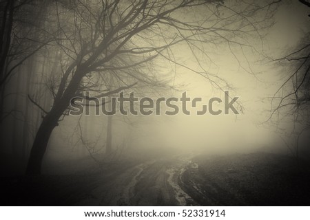 road through a dark forest