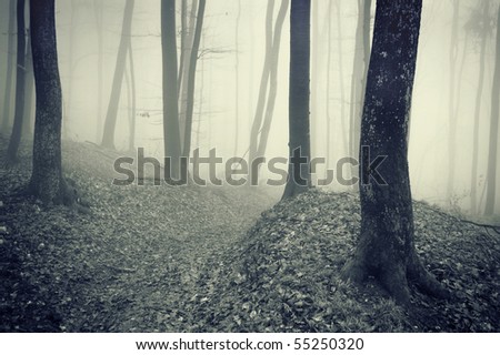 slender man forest fog. dark forest wallpaper. stock