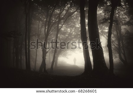 strange man person walking in a dark forest with fog
