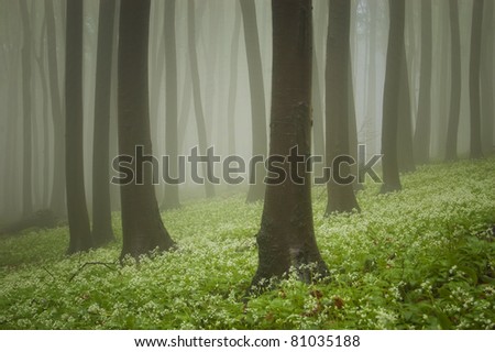 green forest with flowers on the ground