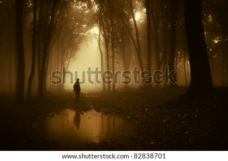 man in a forest reflecting in a pond after rain