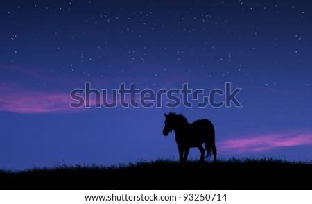 horse silhouette on the top of a hill against twilight sky with stars