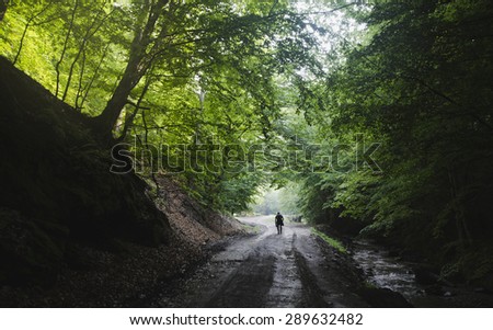 man on path in colorful forest