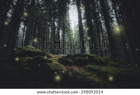 magical lights sparkling in mysterious forest at night