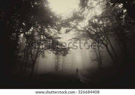 dark misty forest with man on path vintage sepia