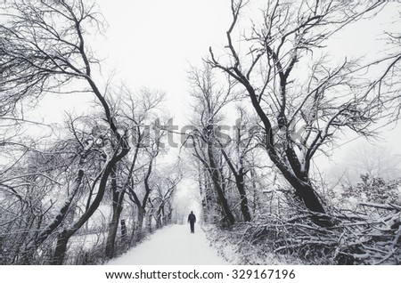 man on path with spooky trees in winter