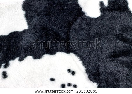 Texture of Cow Print Fabric.