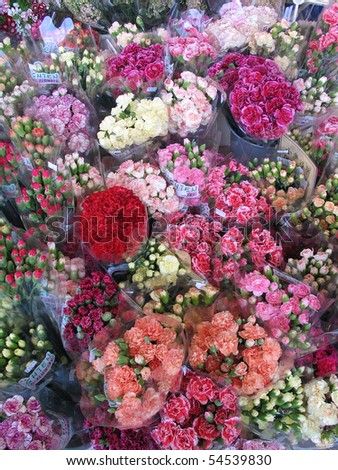 Detail of flowers in the Kowloon flower market