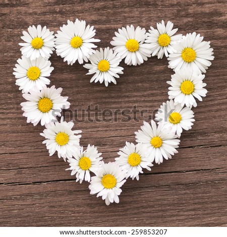 Heart of daisies on wooden background, declaration of love, I love you