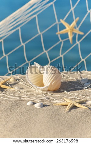 Seashells and starfishes in fishing net at sandy beach, souvenirs from summer holidays