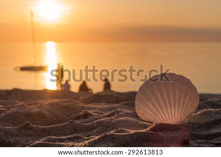 Enjoy the sunset; Scallop in close-up on sandy beach at sunset with some people in the background