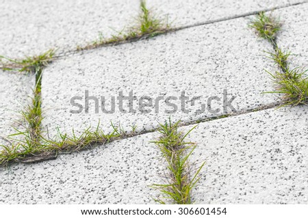 Speckled stone pavement with weed growth; Weed control