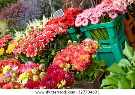 Different varieties of dahlias and gerbera flowers at a flower stall