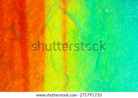 Abstract textured watercolor on rice paper background - holiday set. Summer colors. Backgrounds & textures shop.
