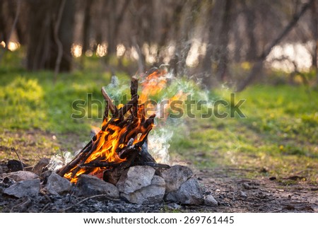 Bonfire in the spring forest. Coals of fire. Ukraine