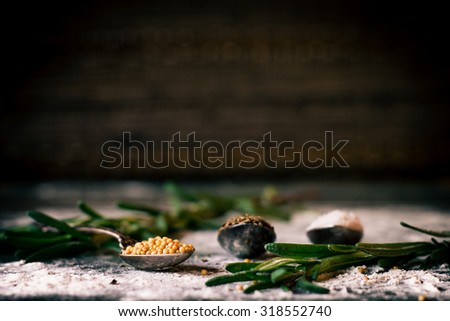 Food spice seasoning ingredients for cooking in cuisine on dark background. Dry powder curry, ginger, rosemary, salt. Asian red, yellow, green colorful aroma condiment.