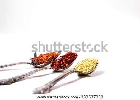 Food spice seasoning ingredients for cooking in cuisine on white background. Dry powder curry, ginger, cardamon, rosemary, salt, paprika, saffron. Asian  yellow, green colorful aroma condiment.