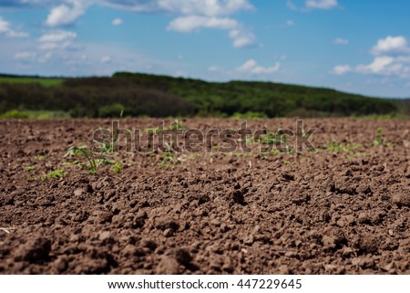 Soil, cultivated dirt, earth, ground, brown land background. Organic gardening, agriculture. Nature closeup. Environmental texture, pattern. Mud on field.