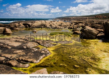 Coastal rock pools