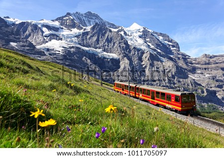 A tourist train traveling on the railway from Kleine Scheidegg to Jungfraujoch (Top of Europe) & wild flowers blooming on a green grassy hillside under blue sunny sky in Bernese Oberland, Switzerland