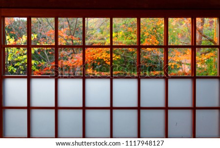 View of colorful maple trees in the courtyard garden behind the sliding screen door ( Shoji ) of a traditional Japanese room in Genko-an, a Buddhist Temple famous for autumn foliage in Kyoto, Japan