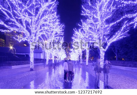 Tourists enjoy the illumination display for Christmas season & New Year in Ao No Dokutsu, with trees decorated in bluish purple lights along a pedestrian promenade in Yoyogi Park, Shibuya, Tokyo Japan