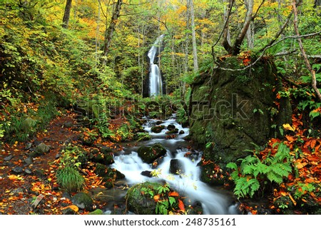 Mysterious waterfall in the autumn forest at Oirase, Aomori, Japan