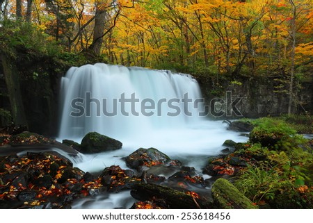 Mysterious waterfall in the autumn forest of a national park in Aomori Oirase Japan