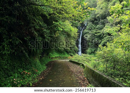Footpath leading to a mysterious waterfall in forest