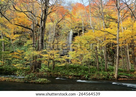 Mysterious Oirase Stream and waterfall  in the autumn forest, Aomori Japan