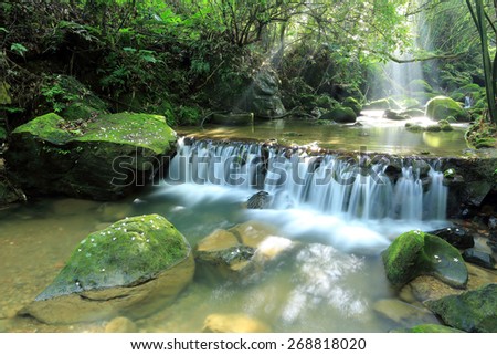 A cool refreshing waterfall hidden in a mysterious forest of lush greenery