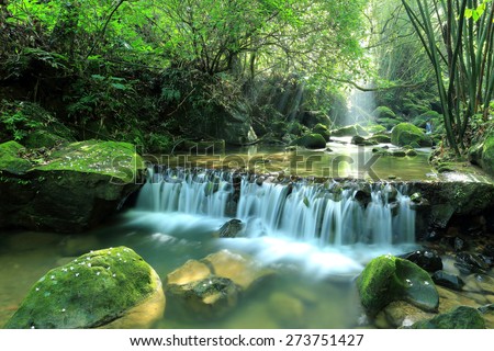 A cool refreshing waterfall hidden in a mysterious forest of lush greenery ~ Scenery of Taiwan