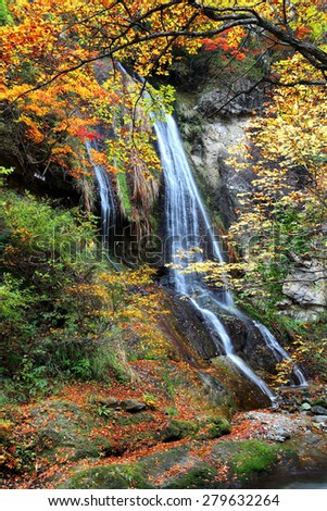 Autumn scenery of Japan ~ A mysterious waterfall in the forest of colorful foliage