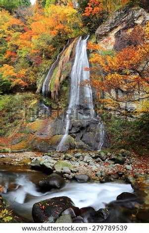 Japanese Scenery ~ A mysterious waterfall in the forest of colorful autumn foliage