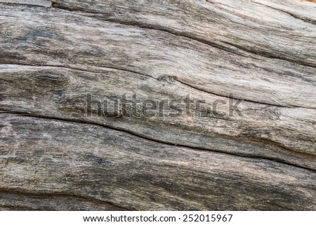 Closeup of old nature weathered wood  background