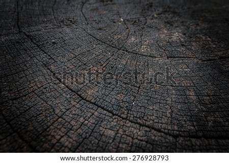 Closeup of crack and weathered  tree rings background