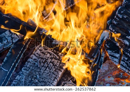 Burning wood, flame and smoke on blue background