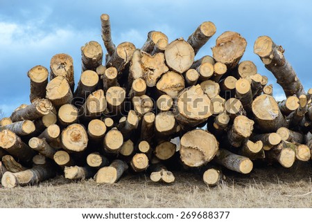 Wood logs on blue sky background
