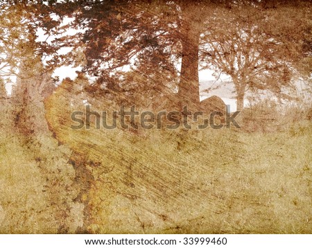 Texture vintage landscape clearing trees and bay