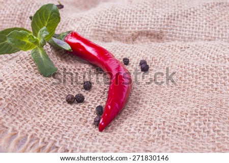 One pod of chili with mint and bell pepper on sacking