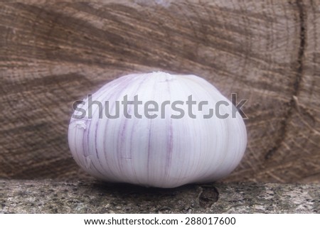 one large garlic on a log