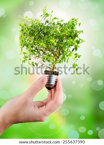 Light bulb in a hand (green tree growing out of a bulb)