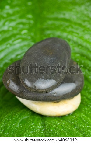 Stack of stones on green leaf with water drops