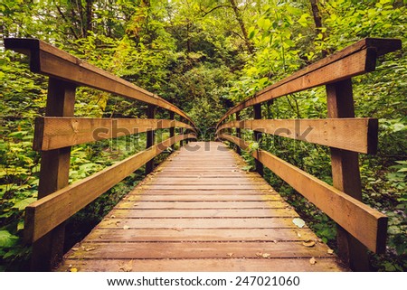 A wooden walking bridge in the forest.