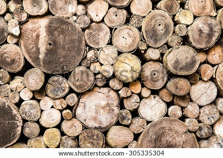 Stacked wood pine timber for construction buildings Background, Background of stacked timber logs.