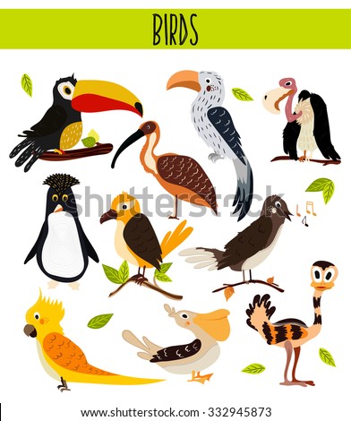 Set of Cute cartoon Animals birds living in different corners of the planet the forests and the jungles. Toucan, vulture, parrot, penguin, ostrich, cockatoo, Pelican, Nightingale Vector illustration