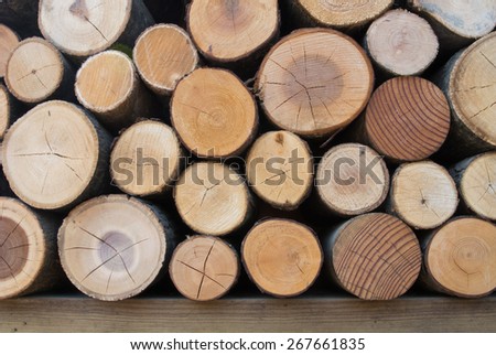 Pile of wood logs, cutting tree wooden logs background.