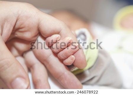 A baby's hand holding the finger of his dad or his mom