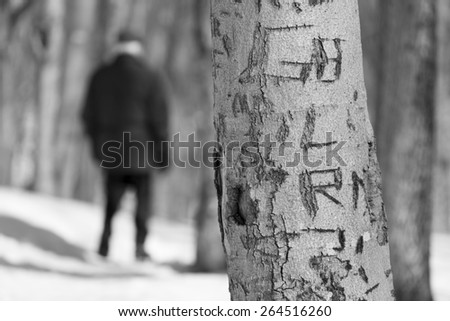 Black and white photo of a tree with several scars in a park during winter with an old man walking in the background